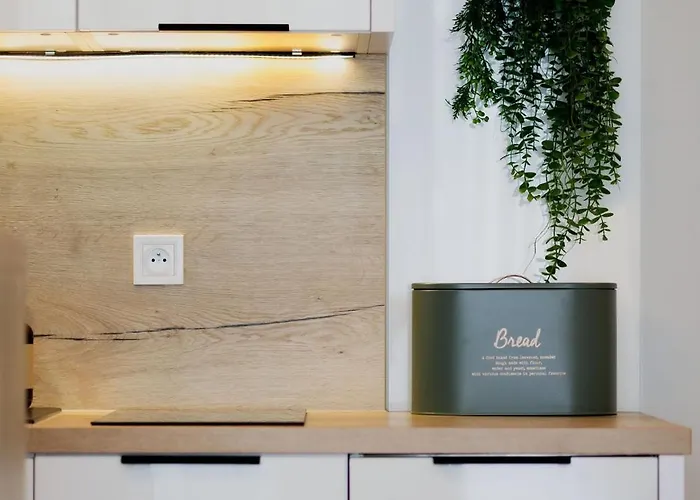 Baltic 4you 3 アパート *